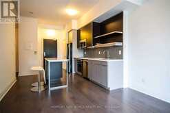 110 - 399 SPRING GARDEN AVENUE Toronto