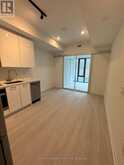 411 - 195 MCCAUL STREET Toronto