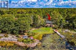 51 HARMONY ROAD Georgian Bay