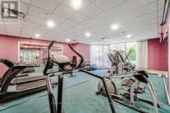 713 - 250 WEBB DRIVE Mississauga