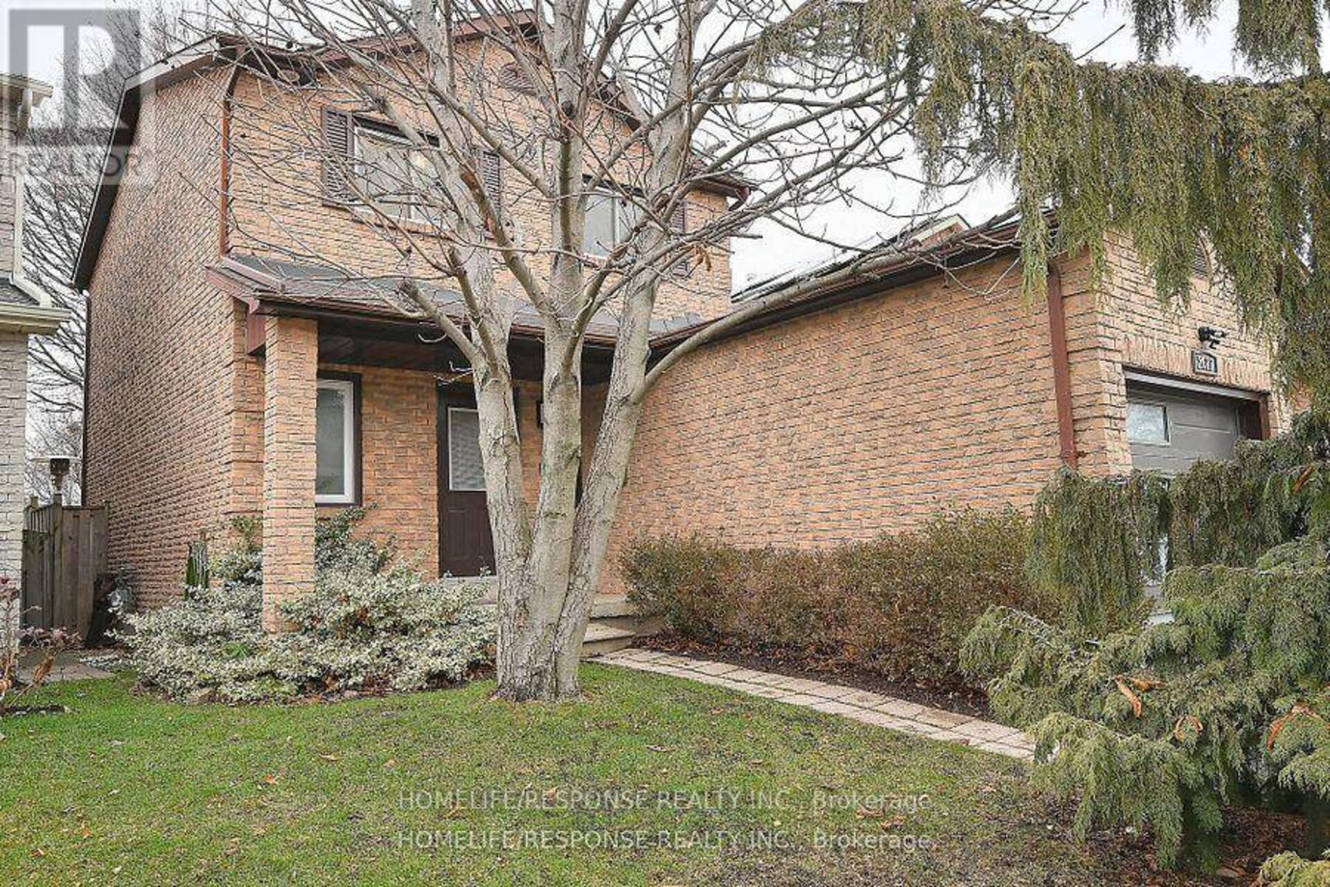 BSMT - 2617 TREVISO COURT Mississauga