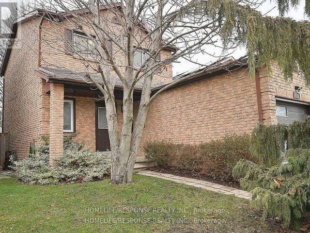 BSMT - 2617 TREVISO COURT Mississauga  Ontario