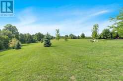 1273 NOTTAWASAGA CONC 6 Clearview 