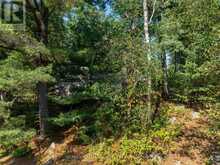 53B FOREST ACCESS ROAD Parry Sound 