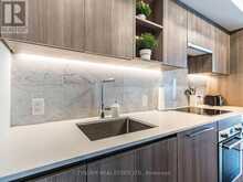 1509 - 17 BATHURST STREET Toronto