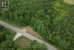 6411 CONCESSION 4 ROAD Adjala-Tosorontio