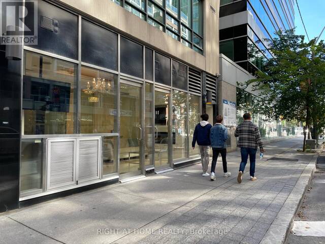 101 - 263 WELLINGTON STREET W Toronto Ontario