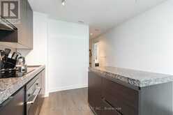 1008 - 38 STEWART STREET Toronto