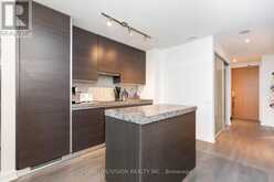 1008 - 38 STEWART STREET Toronto