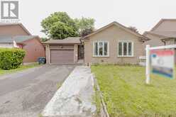 34 ARCHIBALD STREET Brampton 