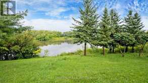 239 VELLORE WOODS BOULEVARD Vaughan