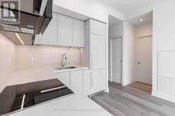 4205 - 8 CUMBERLAND STREET Toronto