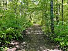 19375 THE MISSISSAUGAS TRAIL Scugog