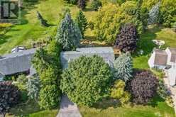 14 HI VIEW DRIVE East Gwillimbury