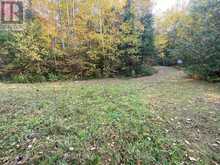 1027 SQUALL TRAIL Minden Hills