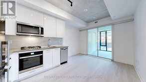 513 - 195 MCCAUL STREET Toronto