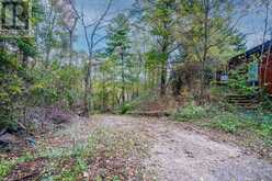 1296 MINERAL SPRINGS ROAD Hamilton 