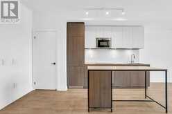 205 - 215 LAKESHORE ROAD W Mississauga