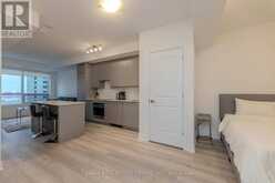 1805 - 36 ELM DRIVE W Mississauga