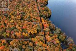 N/A SOUTH MENOMINEE LAKE ROAD Lake of Bays