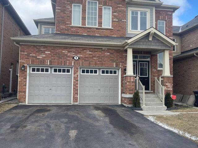 9 FEEDER STREET Brampton  Ontario