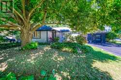 85 ENMORE AVENUE Hamilton 