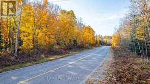 0 KAWAGAMA LAKE ROAD Algonquin Highlands