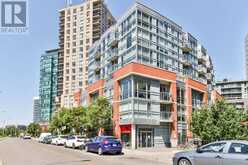 114 - 170 SUDBURY STREET Toronto