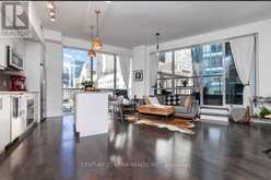 502 - 1 THE ESPLANADE DRIVE Toronto 