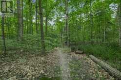 11 HIDDEN FOREST DRIVE Whitchurch-Stouffville