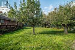 MAIN FL - 34 MEADOWACRES DRIVE Toronto