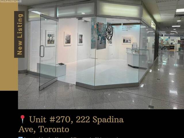 270 - 222 SPADINA AVENUE Toronto  Ontario