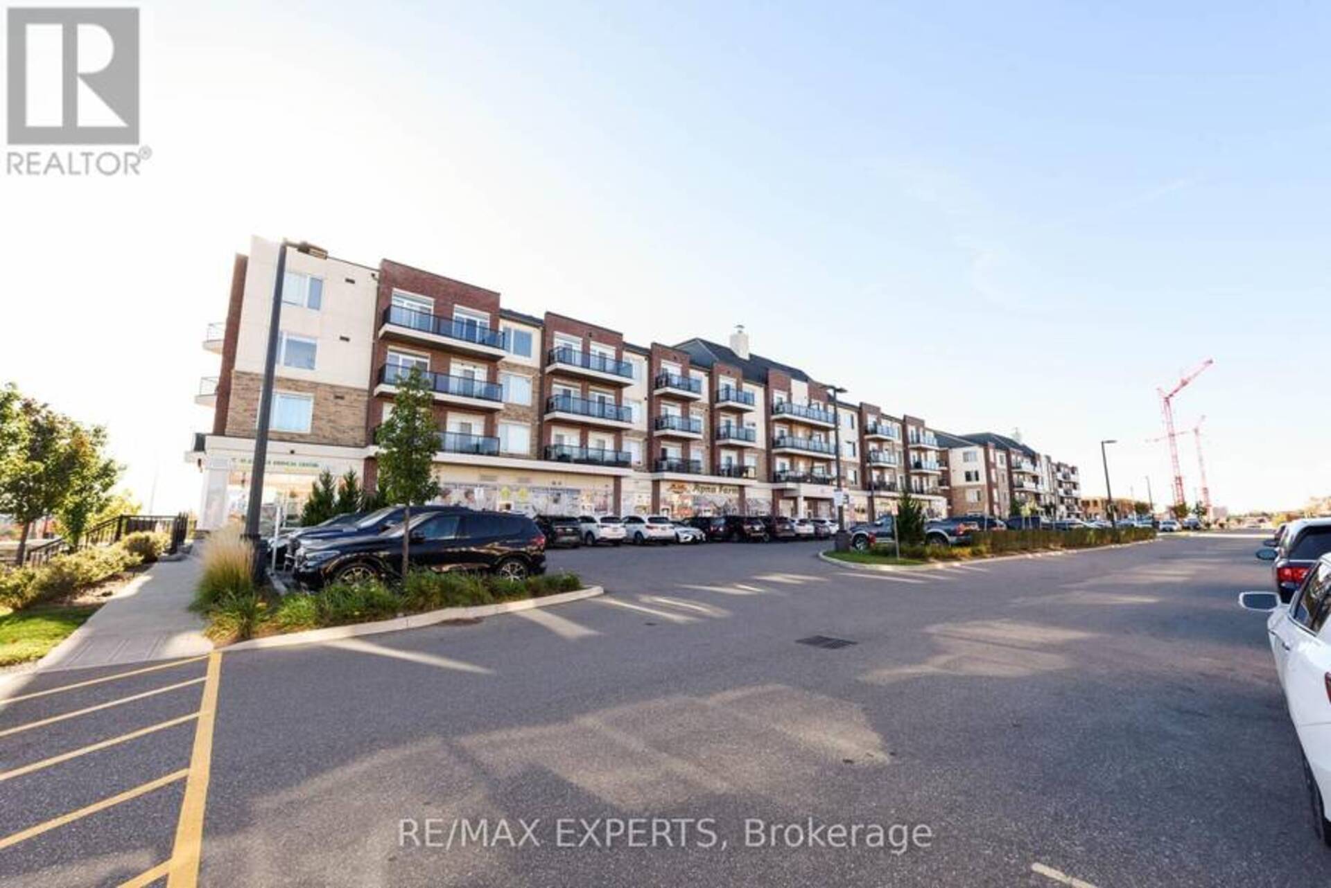 203 - 50 SKY HARBOUR DRIVE Brampton 