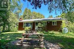 247 DUNNETTE LANDING ROAD Alnwick/Haldimand