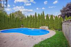 239 SAWMILL VALLEY DRIVE Newmarket