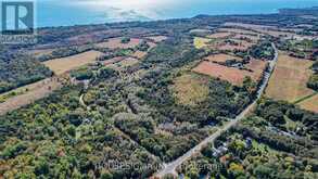 254 BARNUM HOUSE ROAD Alnwick/Haldimand