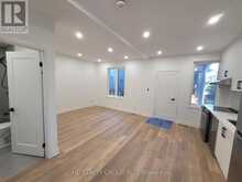 2 - 231 DELAWARE AVENUE Toronto