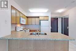 1005 - 51 LOWER SIMCOE STREET Toronto