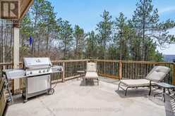 7 PINE POINT Oro-Medonte