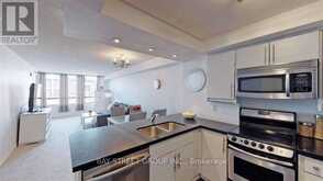 208 - 117 GERRARD STREET E Toronto