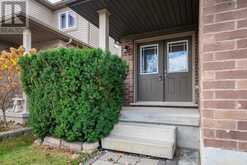 1831 REILLY WALK London