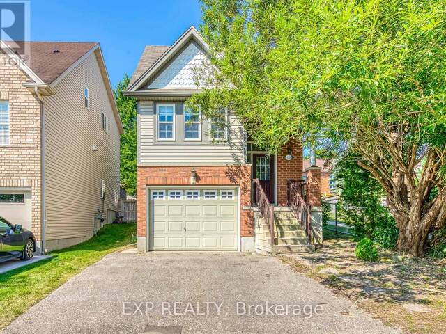 113 PROSPERITY ( BASEMENT) DRIVE Kitchener Ontario