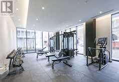 305 - 9 TECUMSETH STREET Toronto