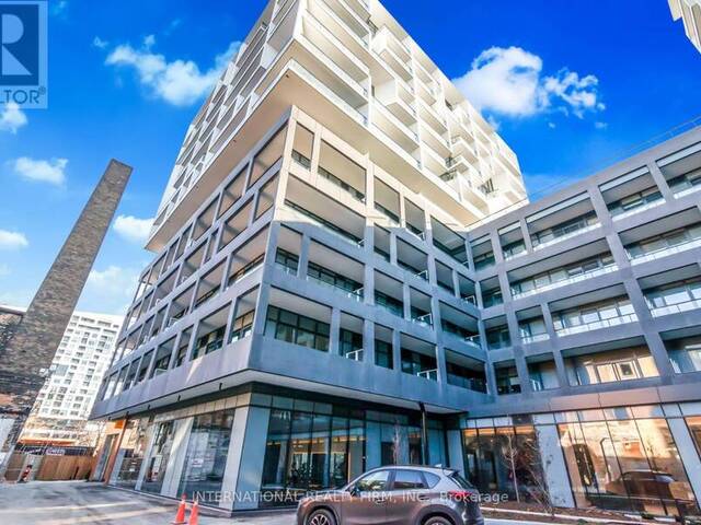 305 - 9 TECUMSETH STREET Toronto Ontario