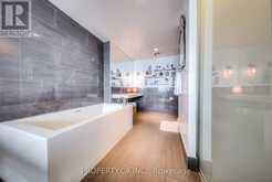 3206 - 70 DISTILLERY LANE Toronto