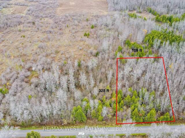 3 - 2864 CONCESSION RD A Ramara Ontario