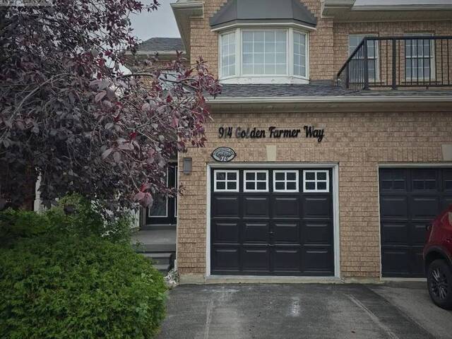 LOWER - 914 GOLDEN FARMER WAY Mississauga Ontario