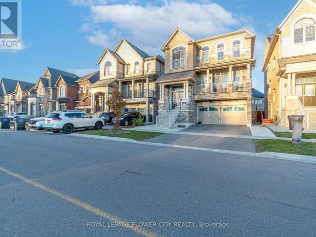 BSMT - 503 QUEEN MARY DRIVE Brampton Ontario