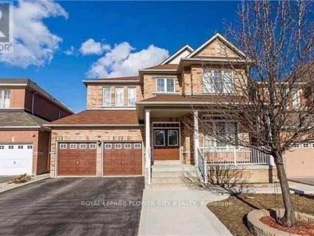 61 POWELL DRIVE Brampton Ontario