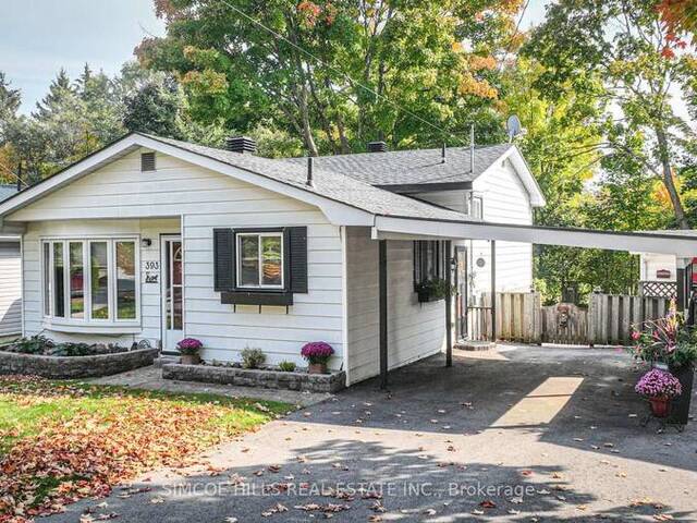 393 HOMEWOOD AVENUE Orillia Ontario